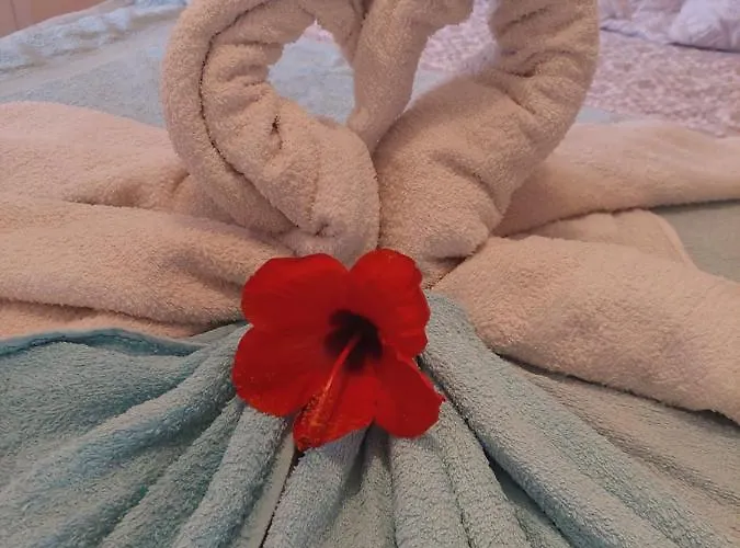 La Paloma Buena Esperanza アパート