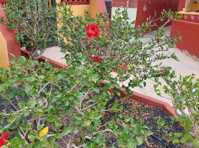 アパート La Paloma Buena Esperanza