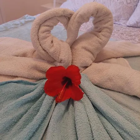 La Paloma Buena Esperanza דירה