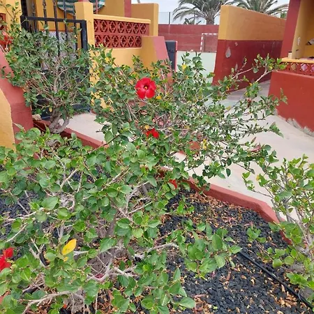 דירה La Paloma Buena Esperanza
